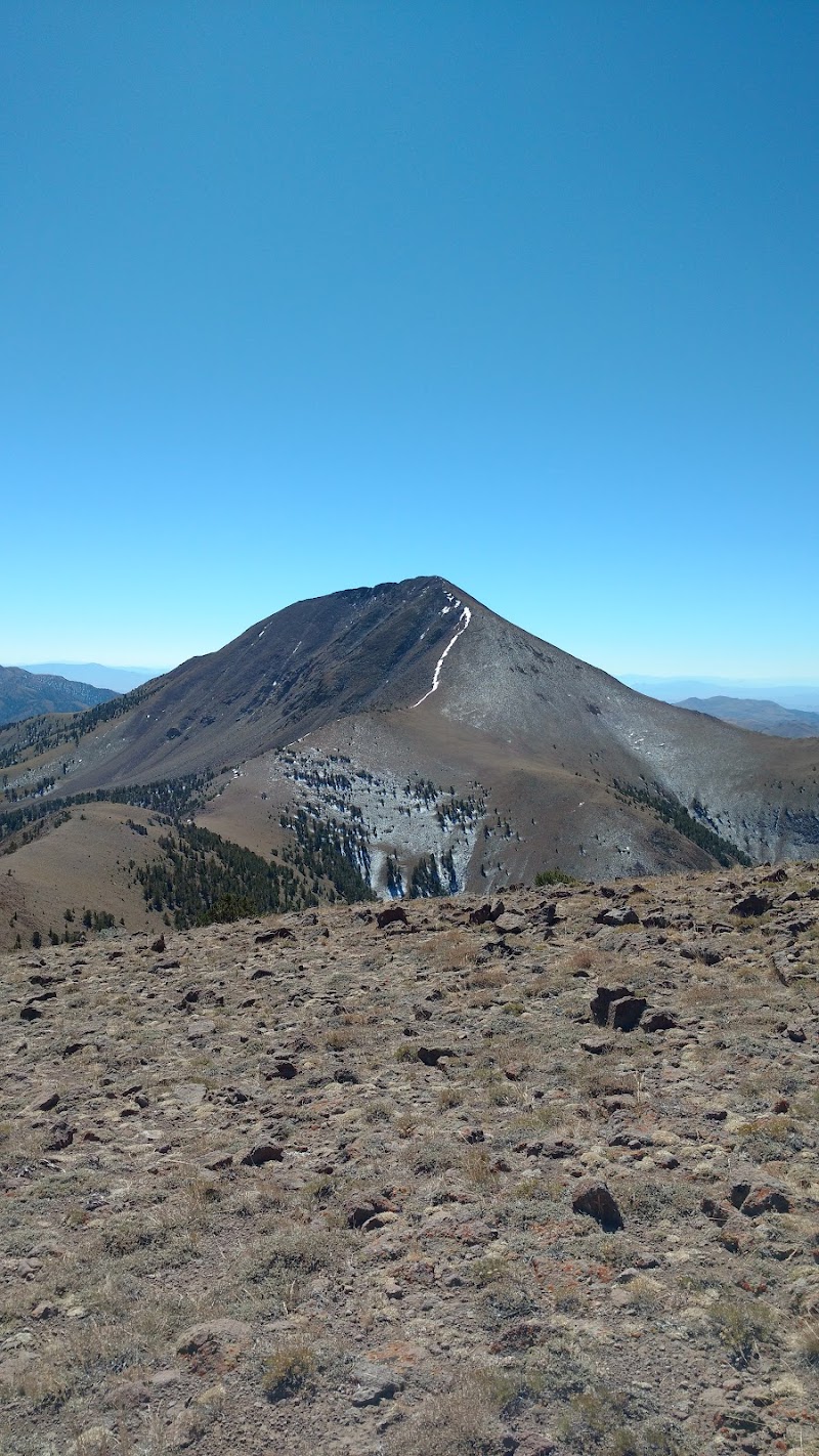 Arc Dome Wilderness - Photo 6