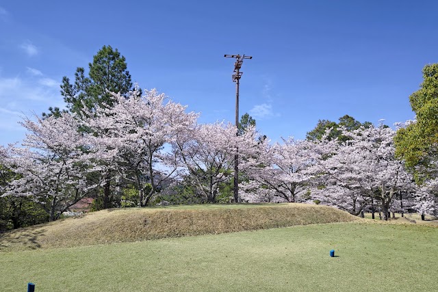 Gloire Golf Club - Photo 6