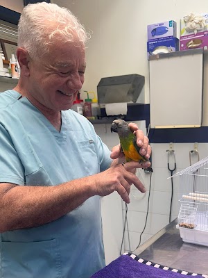 ד"ר אבי צרפתי מרפאה וטרינרית