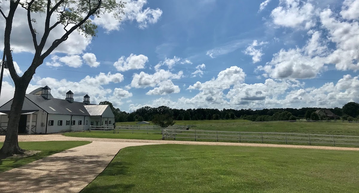 Belcavallo Farm LLC