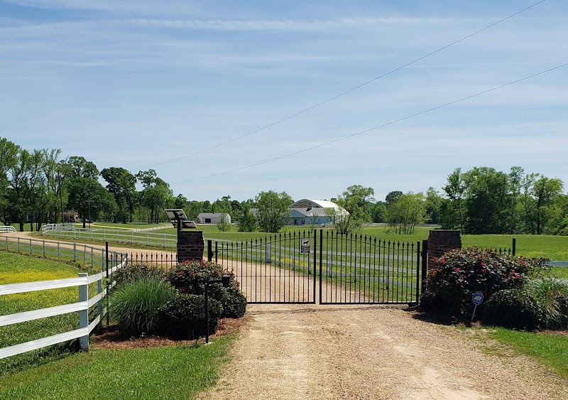 Belcavallo Farm LLC - Photo 1