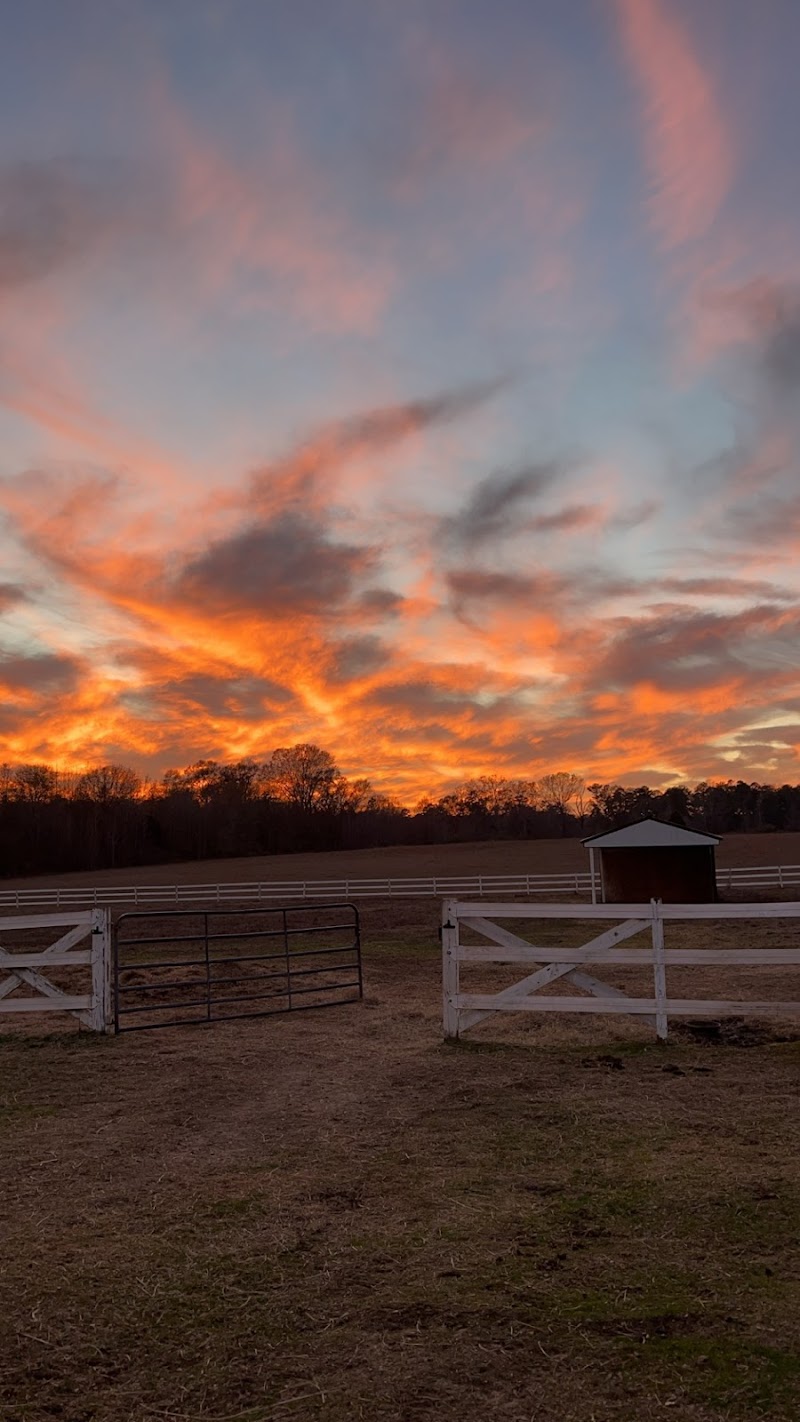 Belcavallo Farm LLC - Photo 4
