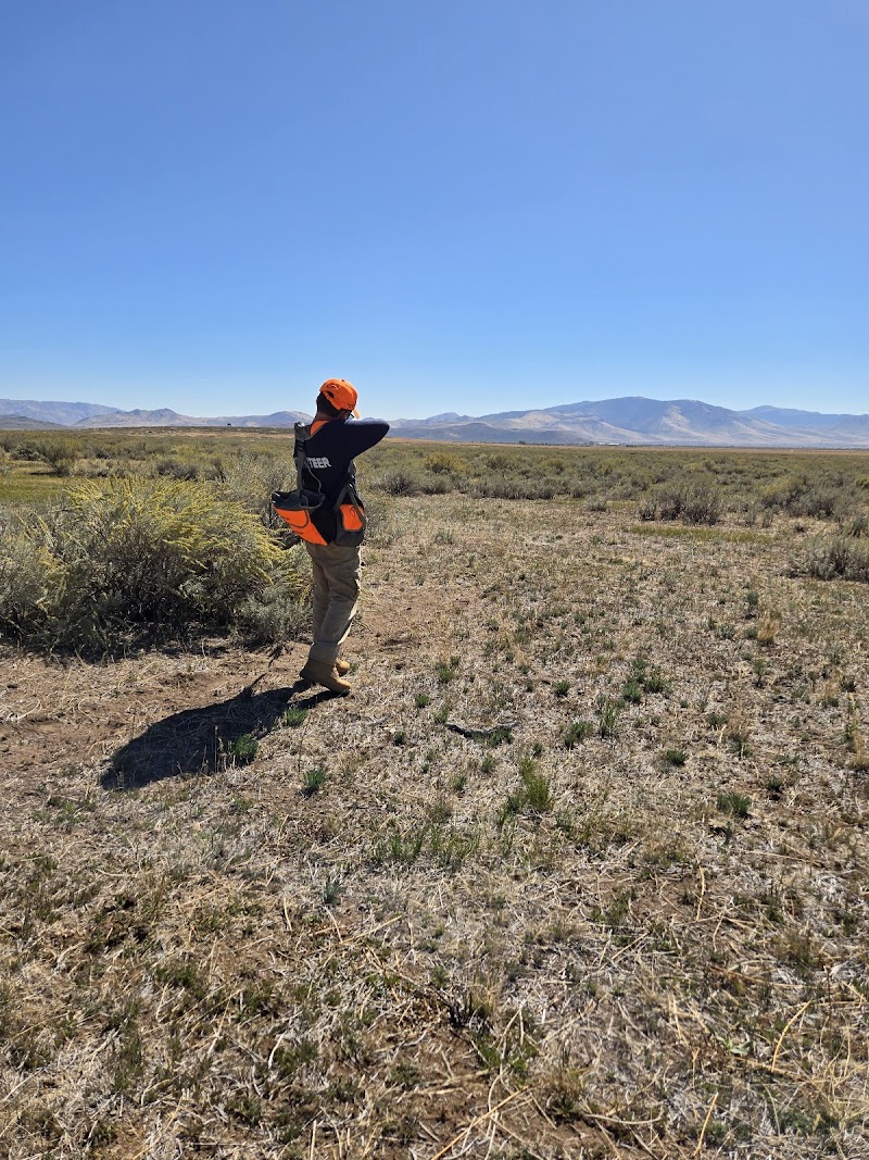 Green Gulch Ranch - Photo 3