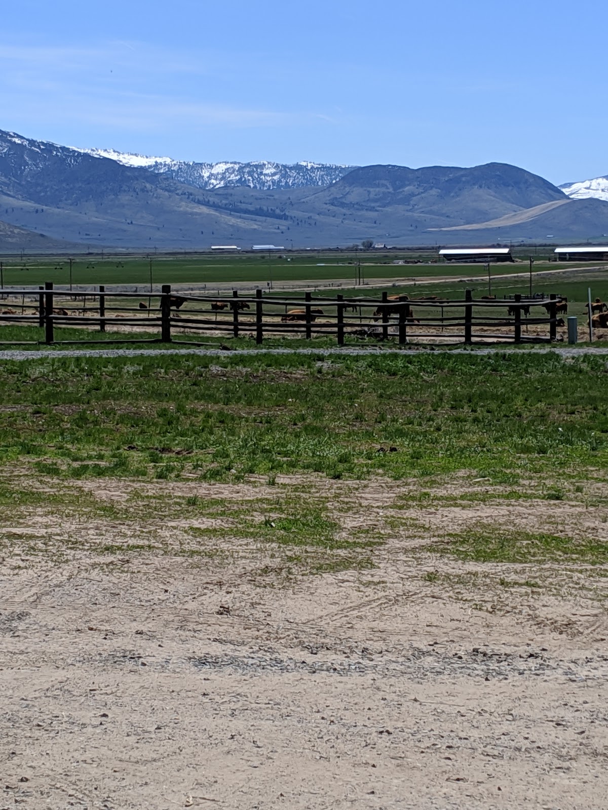 Green Gulch Ranch