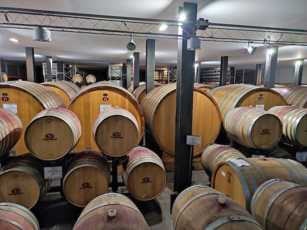 Viticoltori Associati di Vinchio - Vaglio Serra