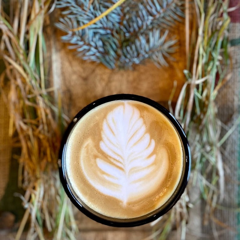 Bivouac Coffee photo 2