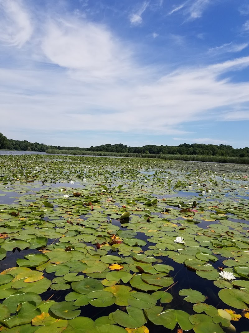Cold Brook County Park photo 3