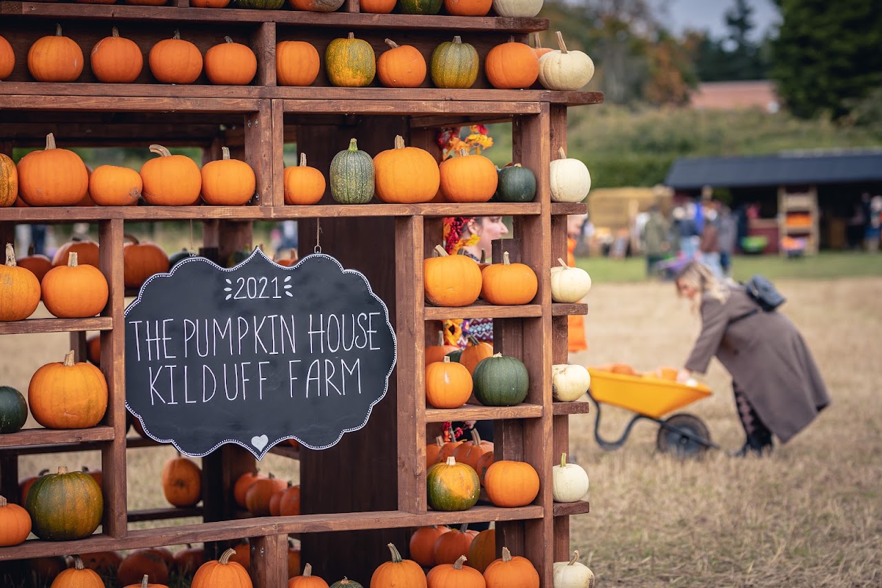 Kilduff Farm Pumpkin Festival 2023