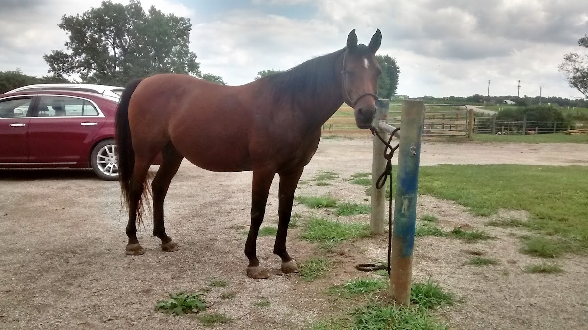 Victory Ranch, Inc.