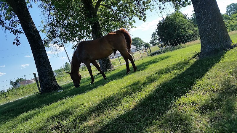 Victory Ranch, Inc. - Photo 6