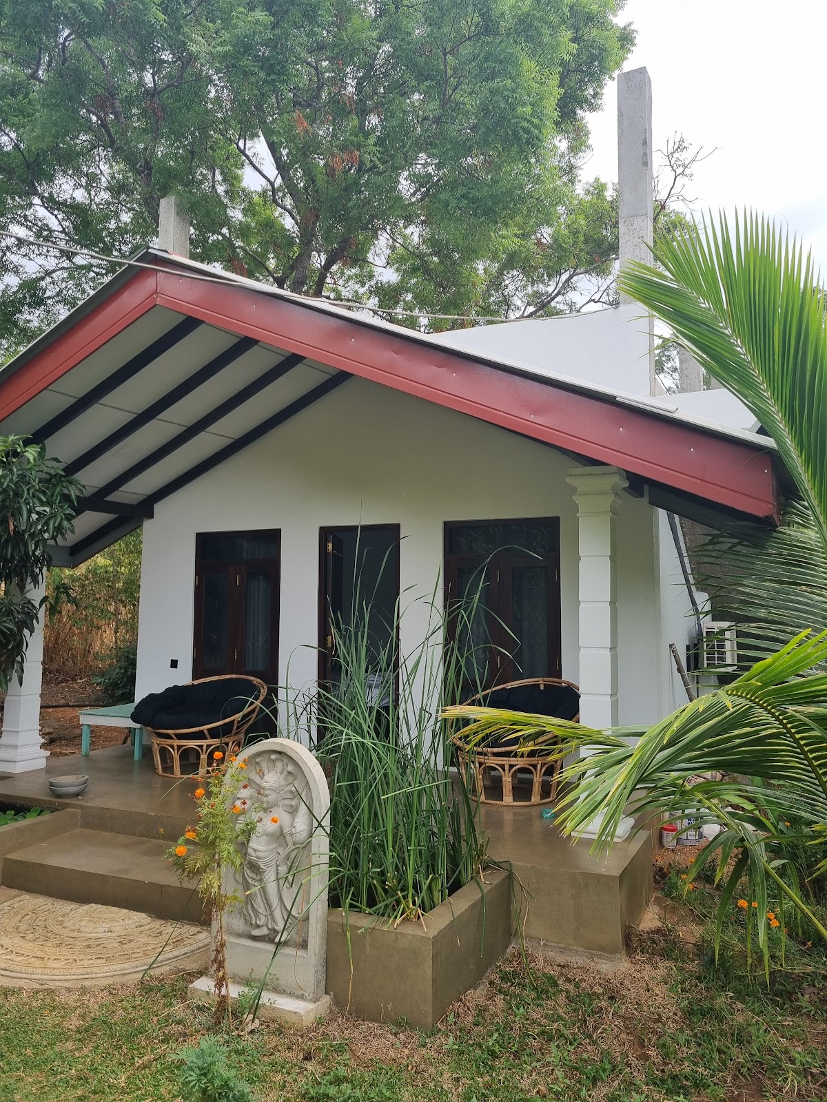 The wild culture sigiriya — 4
