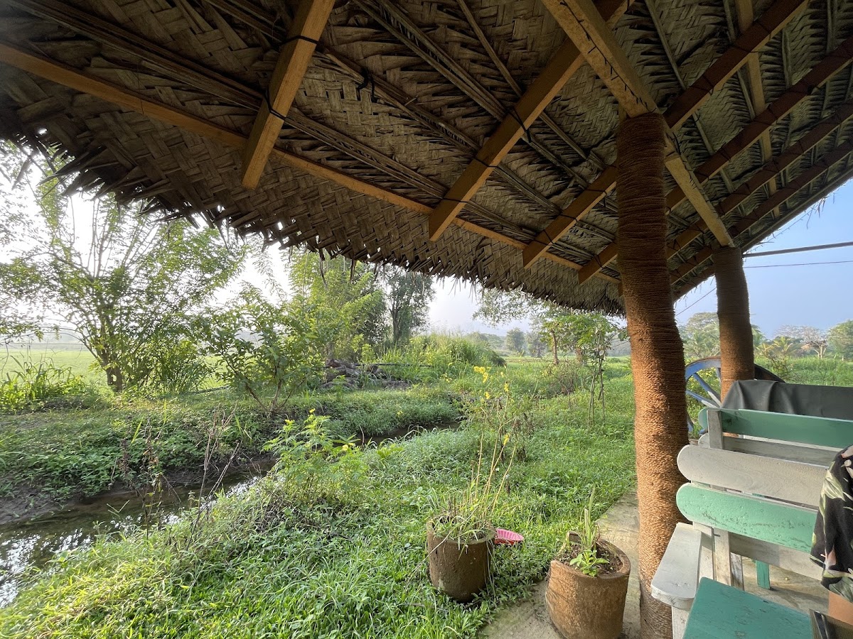 The wild culture sigiriya