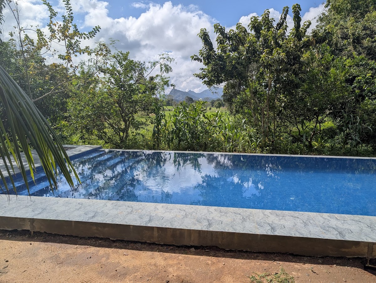 The wild culture sigiriya — 3