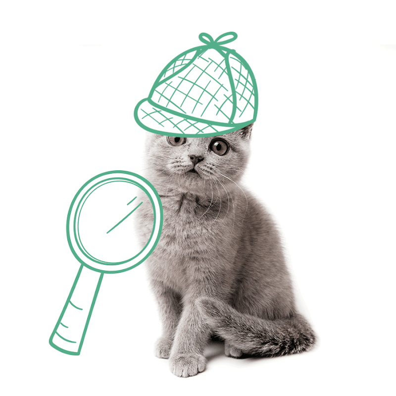 VETERINARIO A DOMICILIO BCN