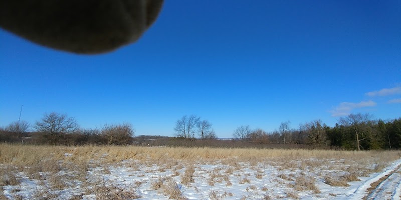 Blonhaven Hunt Club LLC - Photo 6