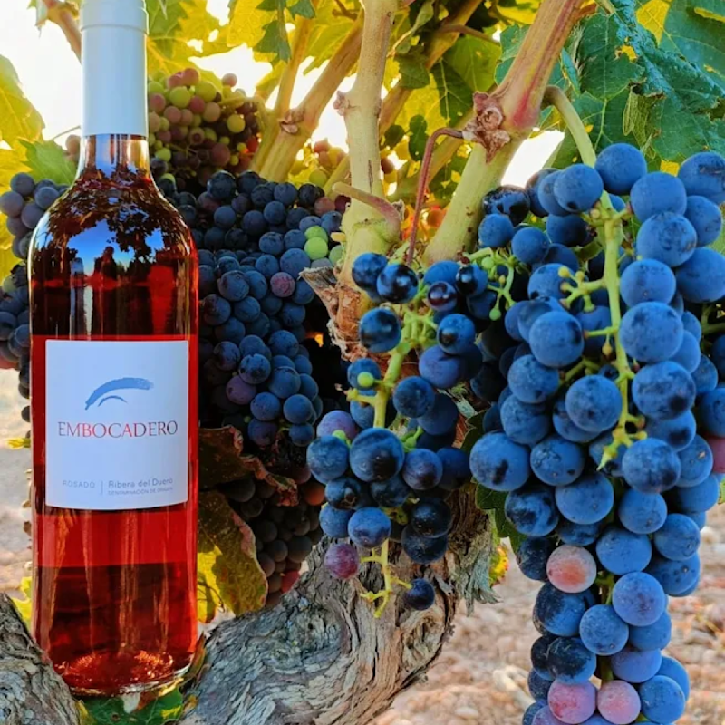 Bodega Cooperativa San Pedro Regalado
