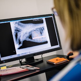 Clinica Veterinaria La mezquita