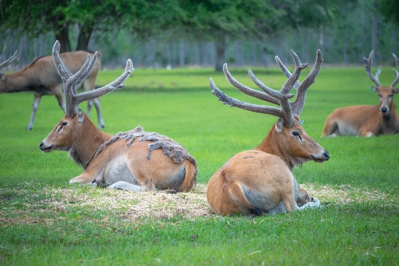 6 Mile Hunting Ranch - Photo 5