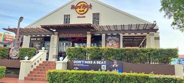 Wild Coriander Melaka