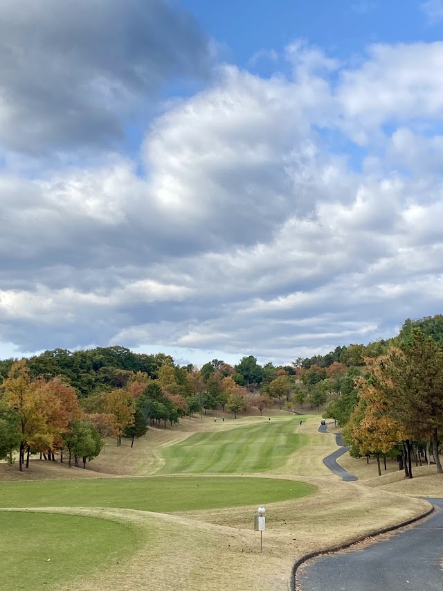 Yoshii Nanyodai Golf Course - Photo 9