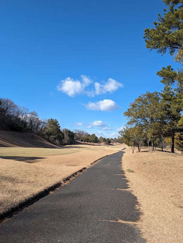 Yoshii Nanyodai Golf Course - Photo 2