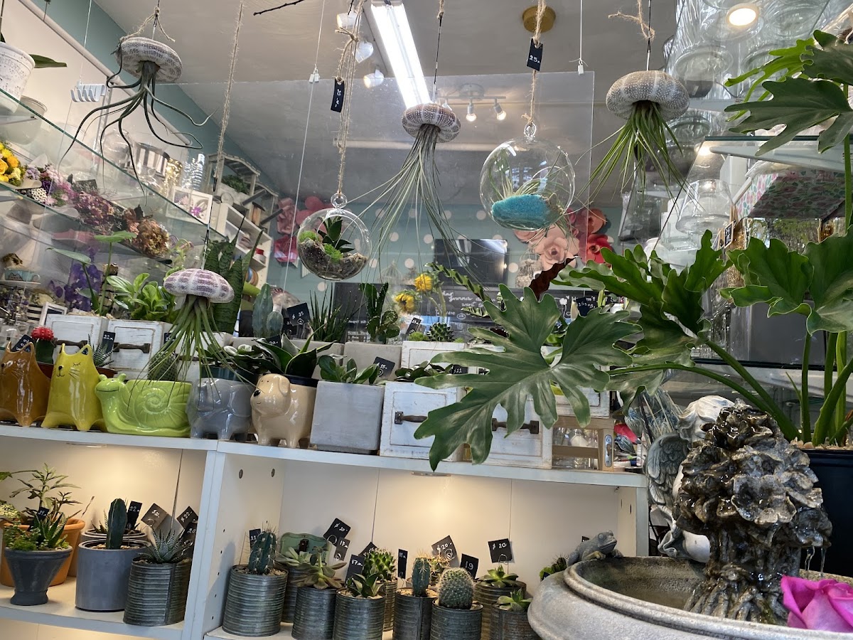 Chaba Florists: Google Places image 2