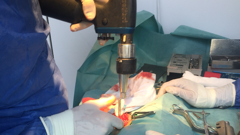 Hospital Veterinario Valdemoro