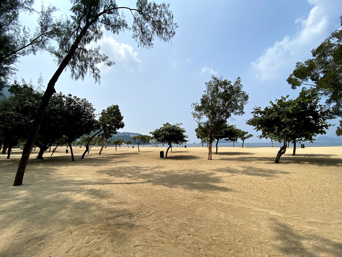 會所1號淺水灣 photo 4