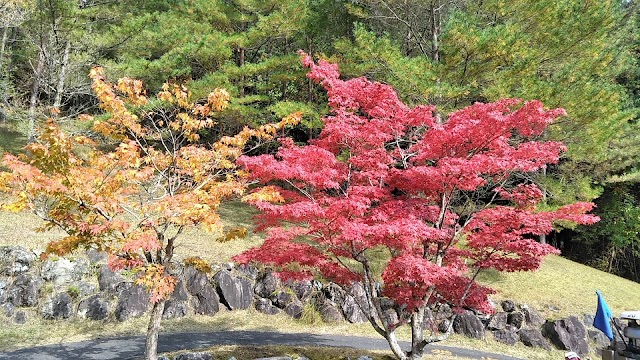 Akino Golf Club - Photo 7