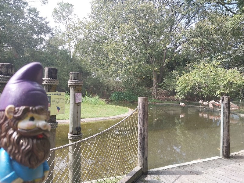 Flamingo Cafe photo 4