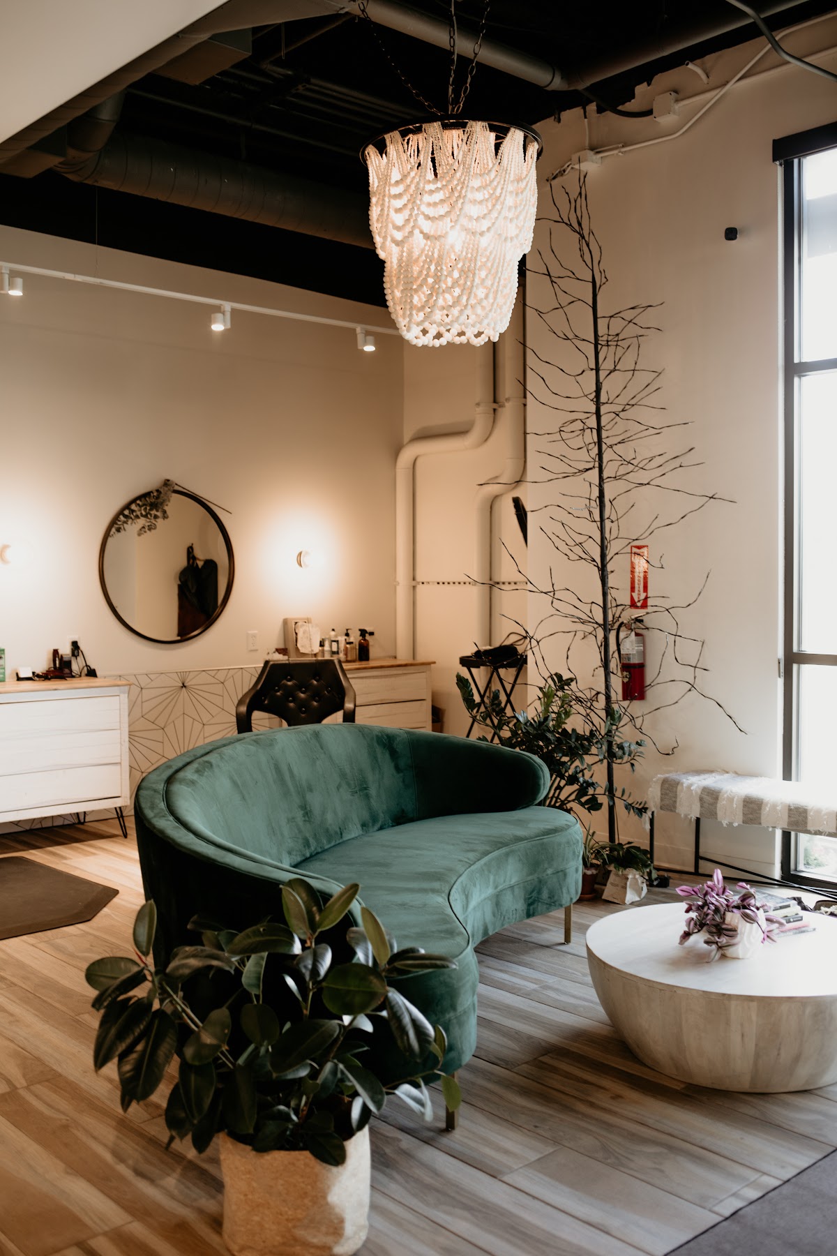 Olivet Salon: Google Places image 2
