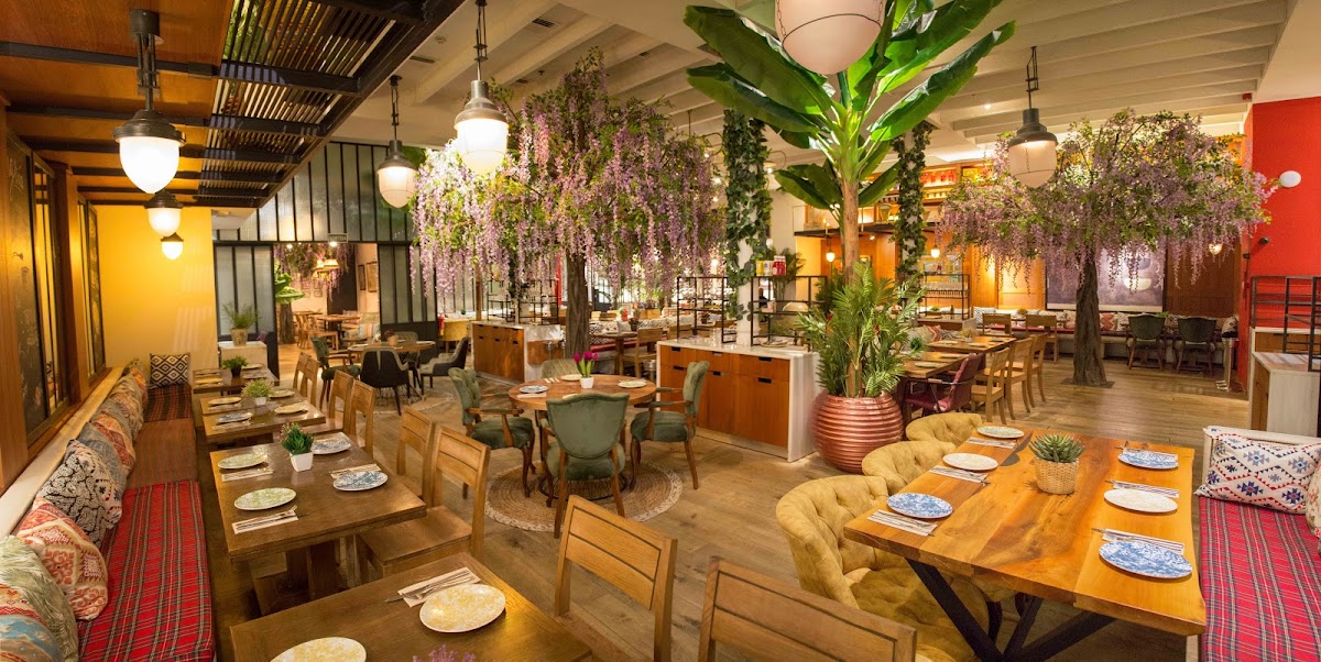 La Lolita Barcelona in barcelona