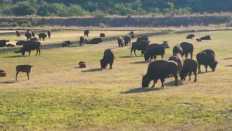 The Ladder Ranch - Photo 6