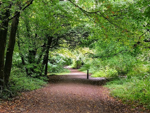 Leigh Woods in Leigh Woods, Bristol