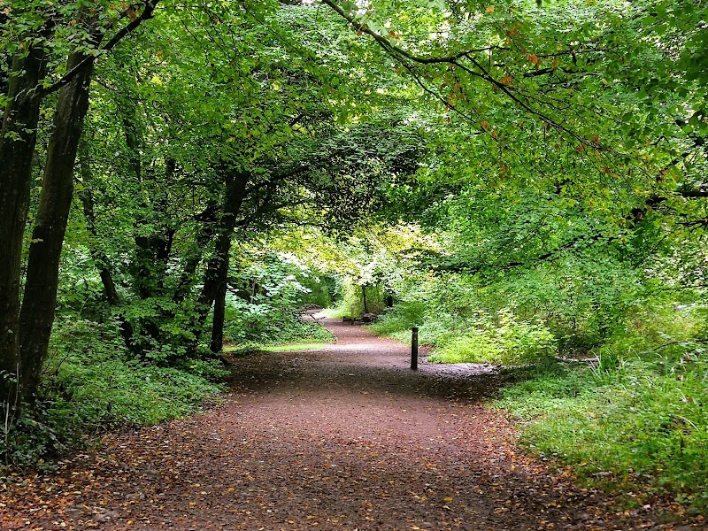 Leigh Woods in Leigh Woods, Bristol