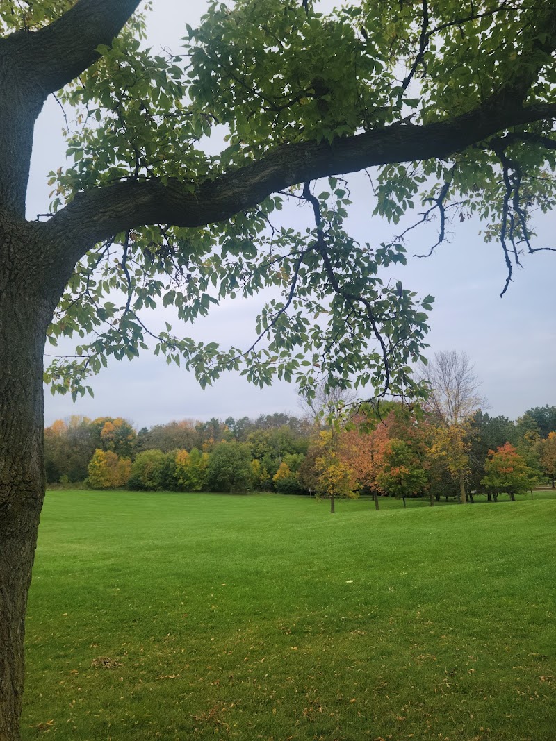 Shorewood Disc Golf Course photo 4