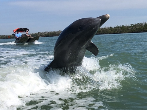 Marco Island Eco Tours