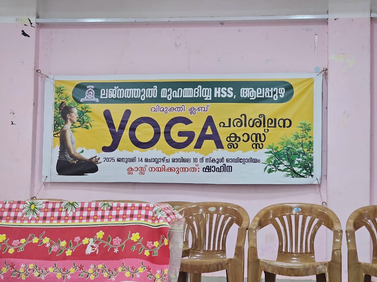 SheNest Yoga Online Live — 4