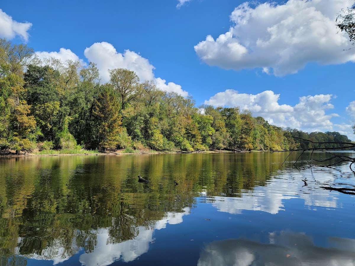 Atchafalaya National Wildlife Refuge