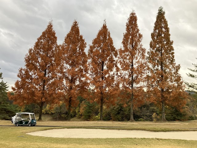 Inuyama Country Club - Photo 8