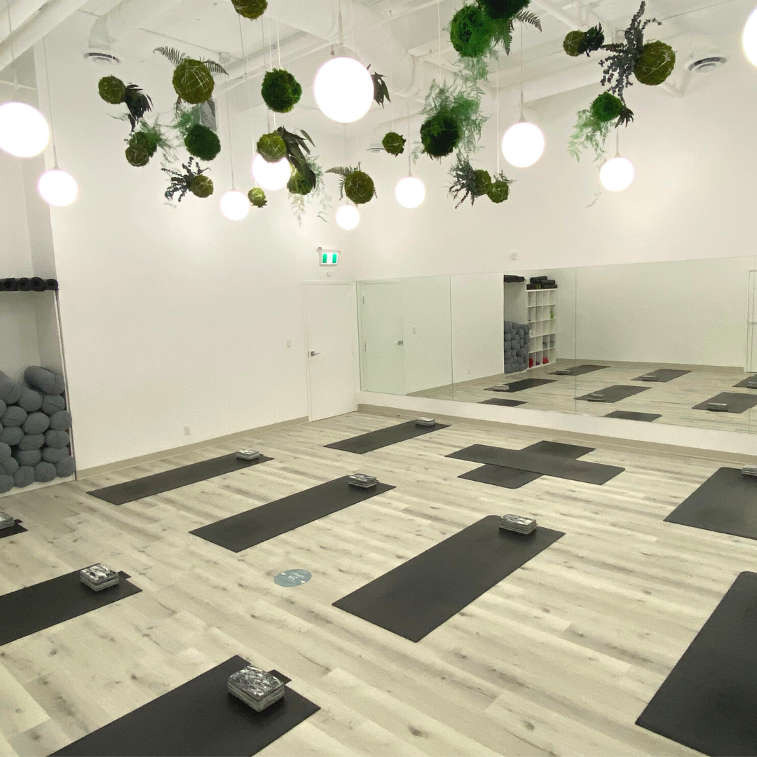 Uphoria Yoga