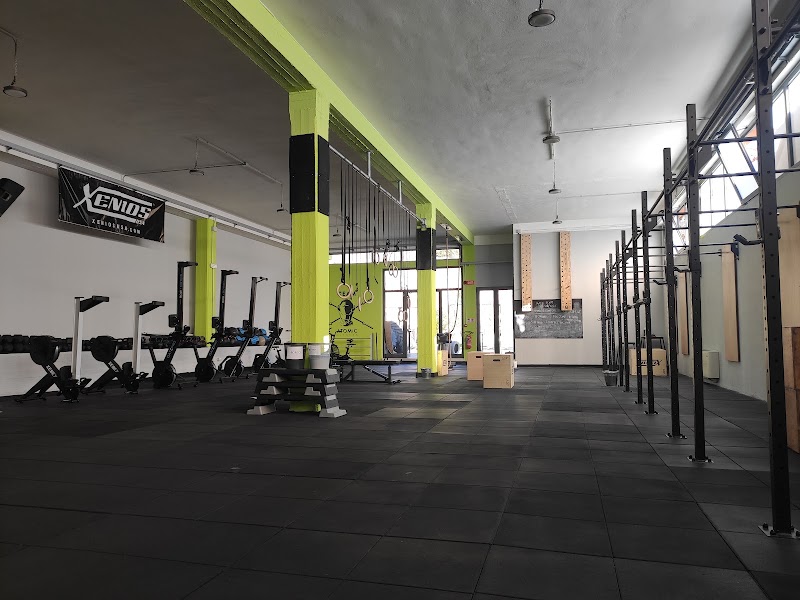 Atomic Fitness