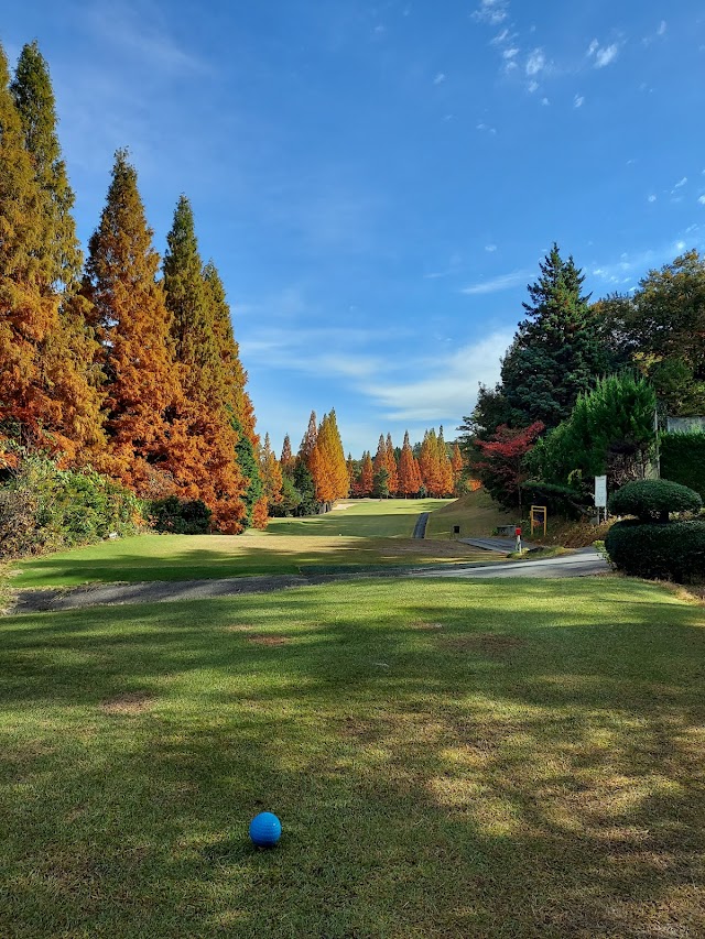 Chubu International Golf Club - Photo 5