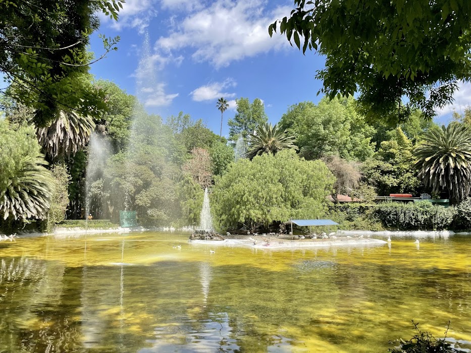 Parque México fotoğraf 1