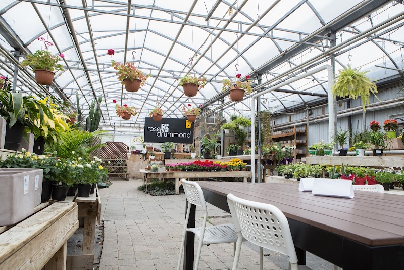 Rose Café photo 3
