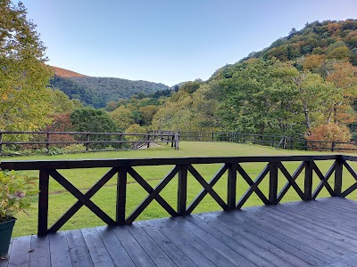 松川温泉 峡雲荘