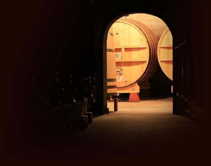 Domaine des Remizières