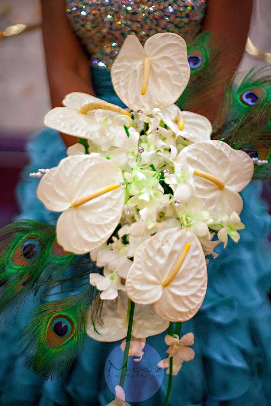 A Love Affair Wedding Photography: Google Places image 3