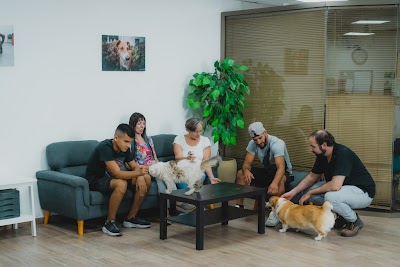 Dog College - בית הספר להכשרת מאלפי כלבים