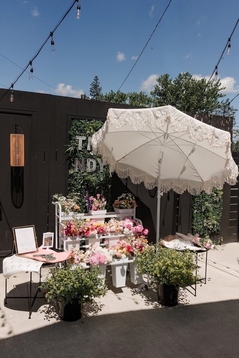 The Trendy Bunny Event Cafe photo 2